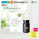 【公式】毎日元気の秘密セット(ベジパワープラス 30包入 +プロテクト300) | ベジパワー 青汁 乳酸菌 大麦若葉 野菜不足 食物繊維 健康 美容 栄養 腸...
