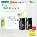 【公式】毎日元気の秘密セットL(ベジパワープラス 60包入 +プロテクト300×2個) | ベジパワー 青汁 乳酸菌 大麦若葉 野菜不足 食物繊維 健康 美容 ...
