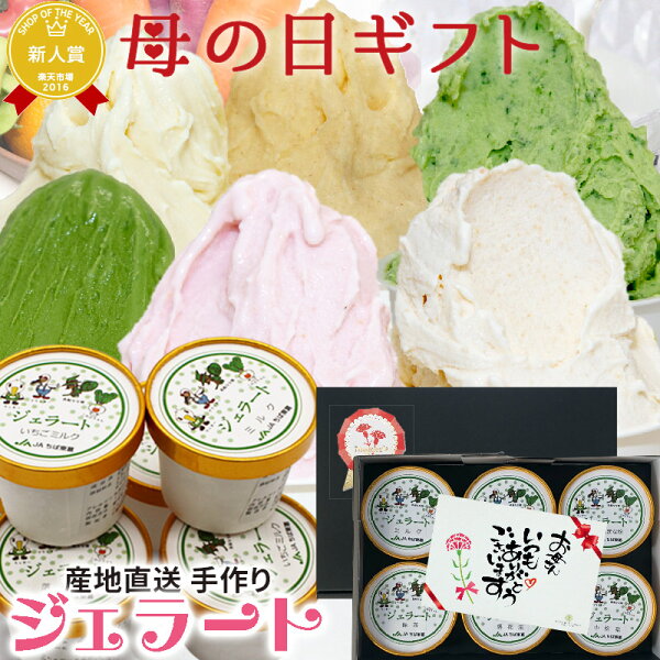 遅れてごめんね母の日ギフトプレゼントスイーツ洋菓子アイスクリームふなっこ畑手作りジェラート詰め合わせ選べる6個セットアイスお菓子
