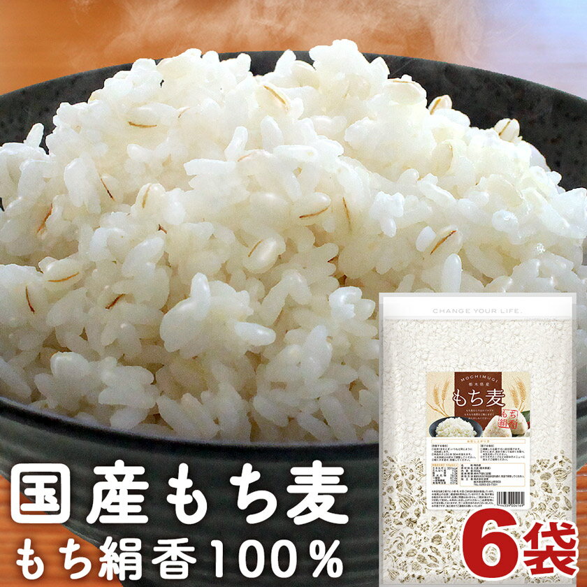 \楽天ランキング1位獲得!/ もち麦 国産 栃木県産 もち絹香 4.8kg (800g×6袋) 送料無料 ダイエット 雑穀 業務用