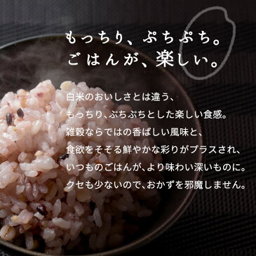 雑穀米 国産十雑穀米 500g 黒米 赤米 大麦 押麦 大豆 もちきび もちあわ もろこし ひえ うるちあわ