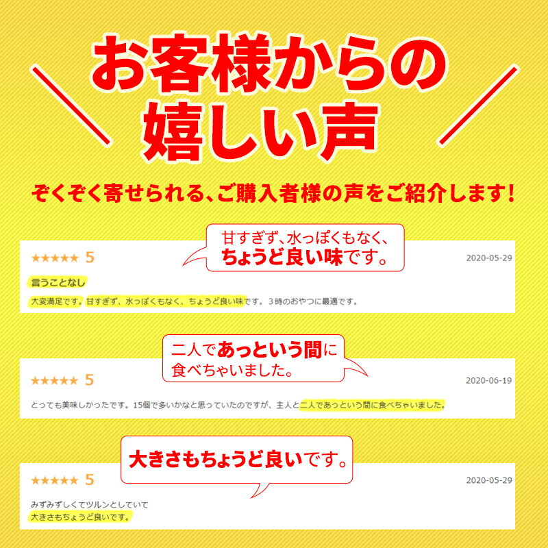 メガ盛り とろける 水ようかん 50g×15個 送料無料 無添加 こしあん ご自宅用 一口サイズ ミニ 羊羹 和楽