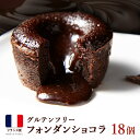 フォンダンショコラ 18個(9個×2袋) グルテンフリー フランス直輸入 送料無料 冷凍スイーツ 業務用 お取り寄せ