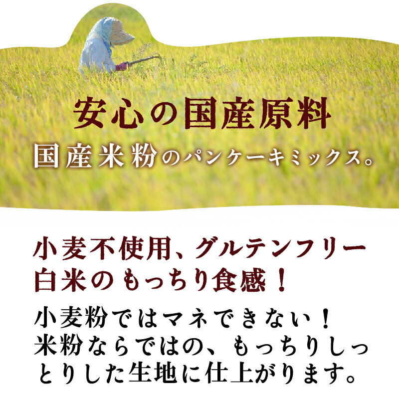 パンケーキミックス グルテンフリー 米粉パンケーキミックス 200g×4袋 送料無料 アルミフリー 国産 小麦不使用