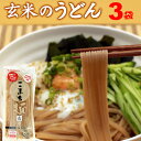 うどん グルテンフリー お米のうどん こまち麺 玄米 250g×3袋 (6食入) 送料無料 半生麺 無塩 米粉 1000円ポッキリ