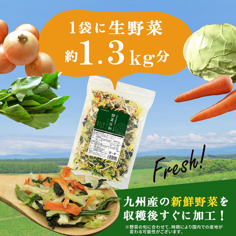 ＼楽天スーパーSALE半額サーチ50％OFF／ スーパーセール 乾燥野菜ミックス 国産 野菜日和 100g×2袋 送料無料 無添加 キャベツ ほうれん草 人参 玉ねぎ 3