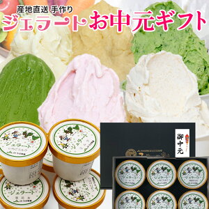 お中元 御中元 スイーツ アイスクリーム ふなっこ畑 手作りジェラート 詰め合わせ 選べる6個セット 送料無料 ギフト 洋菓子
