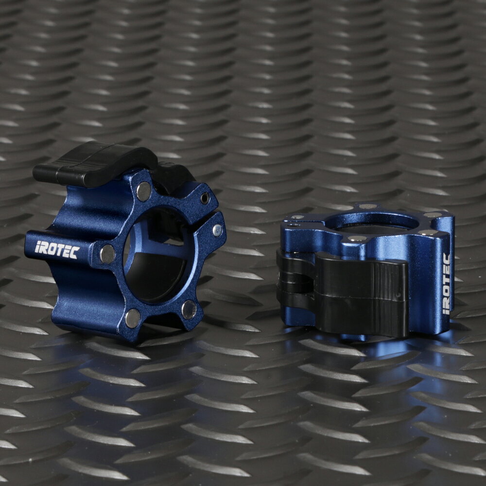 【11/27 1:59迄 P10倍(要エントリー)】IROTEC(アイロテック)マグネットクイックカラー レギュラータイプ サファイアブルー 2個セット 径28...