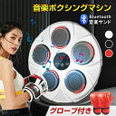 音楽ボクシングマシン スマート ディスプレイ付き 子供 大人 音楽ボクシングマシン 壁パンチングバッグ ボクシングトレーニングパンチング機器 スマート 音楽ボク...
