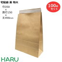 宅配袋 （茶） 特大 100枚 茶無地 巾350×マチ150×490 50 テープ付( 配送袋 紙袋 封筒 テープ付 テープ付き 大容量 マチ広 大きいサイズ 無地宅配袋 配送資材 ピッキング 配送 郵送 荷物 厚手 丈夫 頑丈 大きいサイズ ベロ付き 茶色 茶無地 )