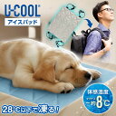 U-COOL アイスパッド BIG リュック 蒸れ防止 ランドセルパッド 背中 保冷パッド 男女兼用 クール 冷感 冷却パッド 夏対策 爽快感 熱中症対策 通勤 通学