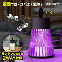 【ポイント5倍★送料無料】USB充電式 バチコロ 蚊 コバエくん 殺虫 ランタン虫よけ 蚊対策 蚊よけ 蚊取りコバエ取り コバエ駆除