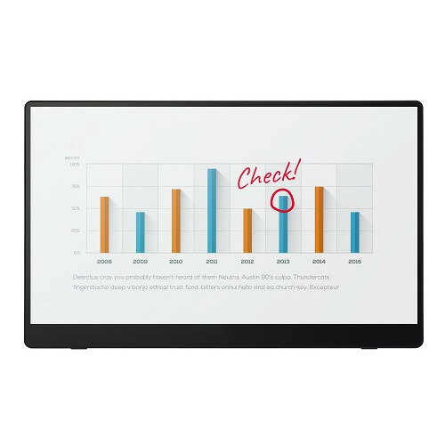 リコー RICOH ポータブルモニター Portable Monitor 150 (有線モデル)