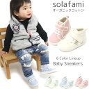 ベビーシューズ 靴 ファーストシューズ オーガニックコットン キッズ スニーカー 子供靴 男の子 女の子 ギフト solafami SF-1802 1803 送...