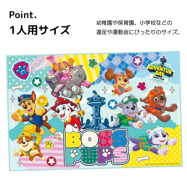 Super Footのレジャーシート 子供用 1人用 敷物 レジャーマット ディズニー ポケモン パウパトロール カーズ トイストーリー マリオ トミカ キッズ 子供 男の子 かわいい キャラクター スケーター VS1｜アングル2