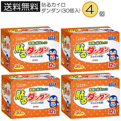 【4504】☆8【送料無料】エステー貼るカイロ ダンダン(30個入)×4個入りホッカイロ ほっかいろ カイロ 貼る 使いすてカイロ　まとめ売り※北海道・東北・信越・沖縄・離島は追加送料あり※