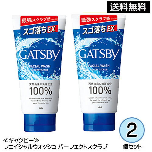 ☆7GATSBY フェイシャルウォッシュ パーフェクトスクラブ(130g)×2個 洗顔フォーム 洗顔料 メンズ スクラブ マンダム 買い回り 買いまわり まとめ買い