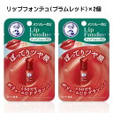 【2058】☆3【メンソレータム】 リップフォンデュ プラムレッド ×2個 リップ 唇 口 スティックタイプ 色付きリップ プランパー プランパーリップ カラーバーム フジョンフローラルの香り ロート製薬 即納