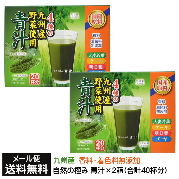 【3167】☆3【メール便送料無料】【受付】 新日配薬品 自然の極み 青汁 1箱20包(1包3g)×2箱4種の九州産野菜使用 香料・着色料無添加粉末タイプ 九州産青汁 国産青汁お買い物マラソン 買い回り 買いまわりのサムネイル