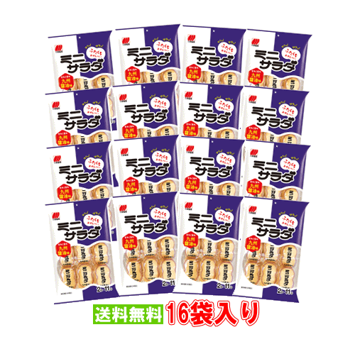 【6310】☆9【送料無料】三幸製菓ミニサラダ　九州しょうゆ味 22枚入りx16パック※北海道・東北・信越・沖縄・離島は追加送料あり※※※予告なくパッケージのデザインが変わることがございます※のサムネイル