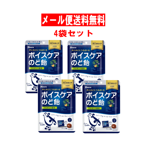 【6310】☆3【送料無料】【カンロ株式会社】ボイスケアのど飴　70g×5袋※メール便での発送となります。※予告なくパッケージのデザインが変わることがございます。