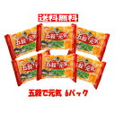 【6310】☆9【送料無料】木村 五穀で元気 (22.5g×12袋入)×6パック黒豆 落花生 オーツ麦 黒胡麻 白胡麻 ビスケット クッキー 朝食 夜食 おやつ※北海道・東北・信越・沖縄・離島は追加送料あり※