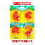 【6310】☆4【メール便送料無料】【現品限り】 VIDAL 恐竜グミ4個パック×3個セット【ティラノサウルス ヴェロキラプトル アンキロサウルス ディプロドクス ブラキオサウルス トリケラトプスの6種類】 1,121円