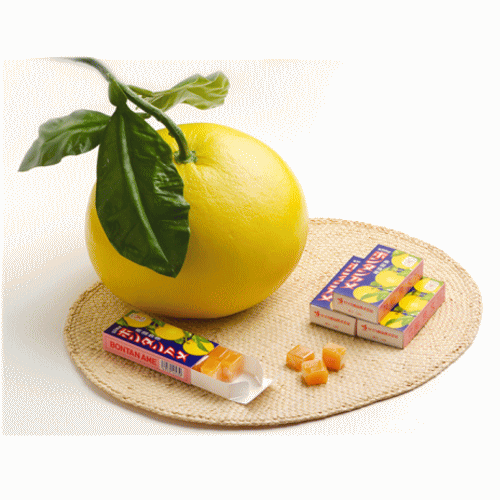 ボンタンアメ (14粒) ×6箱 セイカ食品 文旦飴 飴 あめ キャンディー ソフトキャンディ― キャラメル グミ 南国特産 ぼんたん 文旦 ザボン 朝鮮飴 求肥 九州 子ども会 景品 おやつ もちもち 兵六餅 コンサート ライブ 推し活 フェス 映画鑑賞 送料無料☆4【6310】 2