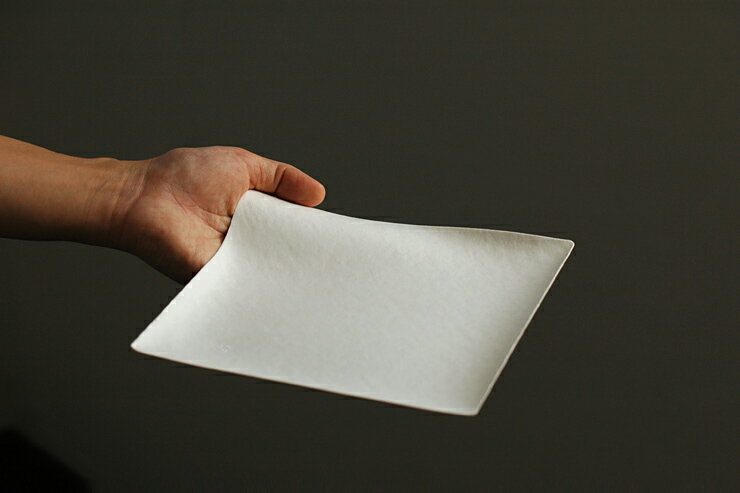 WASARA���ѻ����硡100��