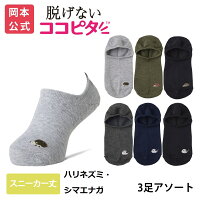 【靴下の岡本公式】【公式店限定】【3足アソート】ココピタ ベーシック レディース スニーカー用深め ハリネズミ シマエナガ ワンポイント