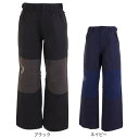 ボンファイア(Bonfire)(メンズ)スノーボード ウェア パンツ INVERSION 3L PT BBFW230009