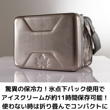 ロゴス(LOGOS) ハイパー氷点下クーラーL 81670080 クーラーバッグ キャンプ バーベキュー キャンプ バーベキュー (メンズ、レディース)