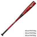 ミズノ(MIZUNO)(メンズ) 軟式用バット マグナインパクト 1CJFR10483 ケース付
