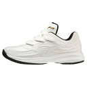 ミズノ(MIZUNO)(メンズ)野球 トレーニングシューズ ウエーブライトレボランプロKL 11GT220001