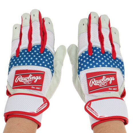 󥰥Rawlingsˡʥ󥺡˥Хåƥѥ  ѥå Хåƥ󥰥 ξ WH22BG-USA/W-USA