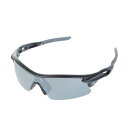 ローリングス(Rawlings)(メンズ)野球 サングラス 一眼・偏光レンズ ミラーレンズ REW22-001SM-BSGR