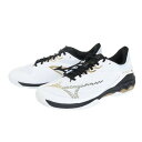 ミズノ(MIZUNO)(メンズ、レディース)オムニクレーコート用 テニスシューズ ウエーブエクシードライト 2 SW OC 61GB231909