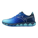 【最大7万ポイントバック!要エントリー&抽選★5/10限定】ミズノ(MIZUNO)(メンズ、レディース)クレー・砂入り人工芝コート用 テニスシューズ ウエーブエ...