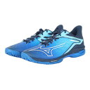 ミズノ(MIZUNO)(メンズ、レディース)クレー・砂入り人工芝コート用 テニスシューズ ウエーブエクシードツアー6 OC 61GB247228