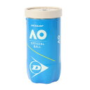 ダンロップ(DUNLOP)(メンズ、レディース、キッズ)硬式用テニスボール2個入 DAOBYL2TIN