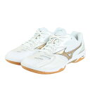 【最大7万ポイントバック!要エントリー&抽選★5/1限定】ミズノ(MIZUNO)(メンズ)バドミントンシューズ ウエーブファングPRO 71GA210050