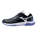 ミズノ(MIZUNO)(メンズ、レディース)バドミントンシューズ ウエーブファング2 71GA231346
