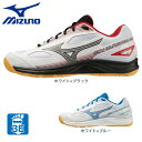 ミズノ（MIZUNO）（メンズ、レディー