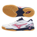 ミズノ（MIZUNO） ウエーブカイザーブルクRL4 81GB172164 （Lady's）