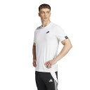 アディダス(adidas)(メンズ)サッカーウェア コパ シグネチャー グラフィック半袖Tシャツ KRL46-JJ1420
