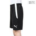 プーマ（PUMA）（メンズ）サッカーウェア メンズ TEAMLIGA トレーニングショーツ 65779503 3