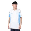 プーマ(PUMA)(メンズ、レディース)マンチェスターシティ FC FTBLARCHIVE 半袖Tシャツ 77913066