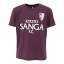 京都パープルサンガ(キッズ)京都サンガF.C. 2024 ベーシックTシャツ FA-24KP002 JR 2,200円