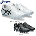 アシックス(ASICS)(メンズ、レディース)サッカースパイク サッカーシューズ 土 天然芝 人工芝用 DS LIGHT PRO 1103A095