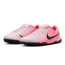 ナイキ(NIKE)(キッズ)キッズ サッカートレーニングシューズ ターフグラウンド用 芝 ティエンポ レジェンド 10 アカデミー ローカット DV4351-6...